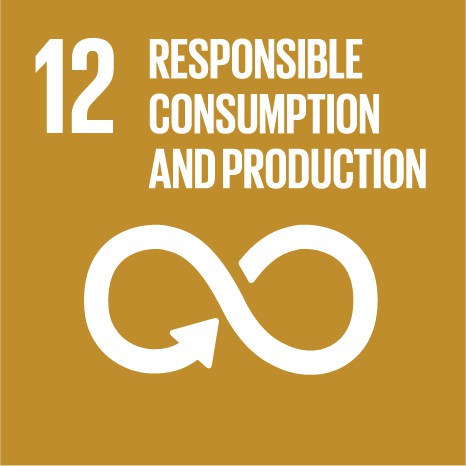 E_SDG_Icons-12.jpg
